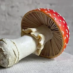 Liz Sexton Ceramic & Porcelain Fruit Papier-Mâché Mushroom 11 Liz Sexton Ceramic & Porcelain Fruit Papier-Mâché Mushroom