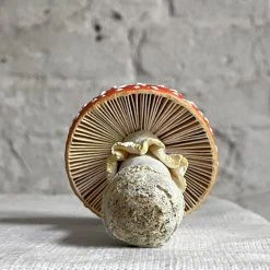 Liz Sexton Ceramic & Porcelain Fruit Papier-Mâché Mushroom 9 Liz Sexton Ceramic & Porcelain Fruit Papier-Mâché Mushroom