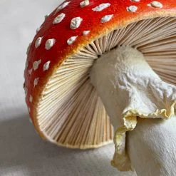 Liz Sexton Ceramic & Porcelain Fruit Papier-Mâché Mushroom