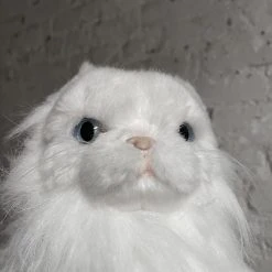 Michel Taillis Création Art & Objects Animated Persian White Cat