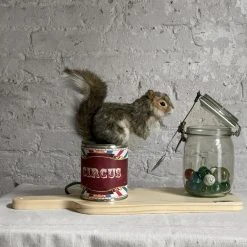 Michel Taillis Création Animated Circus Squirrel Art & Objects