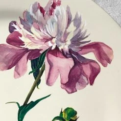 John Derian Company Inc Peony 13" Charger Plate