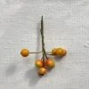 Nostalgic Cotton Twist-Tie Yellow Berries Ornament Set Holiday