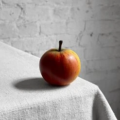 Penkridge Porcelain Windfall Cox Yellow Apple