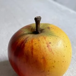 Penkridge Porcelain Windfall Cox Yellow Apple