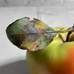 Penkridge Large Porcelain Apple With Twig & Leaf