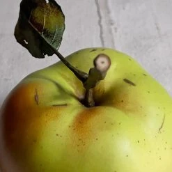 Penkridge Large Porcelain Apple With Twig & Leaf