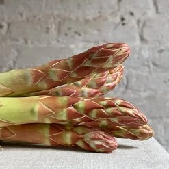 Penkridge Porcelain Asparagus Bundle Ceramic & Porcelain Fruit