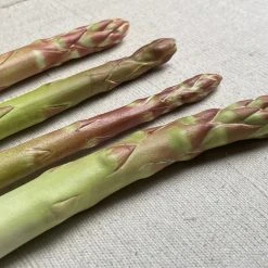 Penkridge Single Porcelain Asparagus