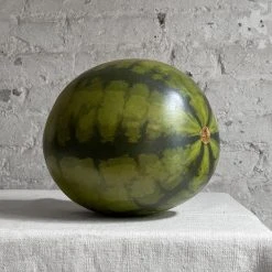 Penkridge Ceramic & Porcelain Fruit Porcelain Watermelon