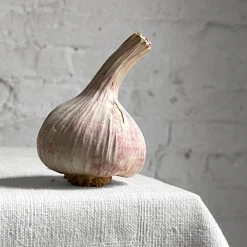 Penkridge Porcelain Pink Garlic Bulb