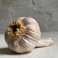 Penkridge Porcelain Pink Garlic Bulb