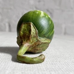 Penkridge Baby Thai Porcelain Aubergine Ceramic & Porcelain Fruit