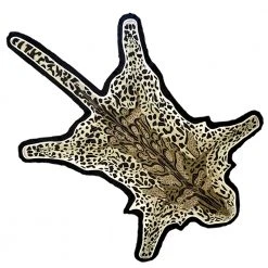 Lindell & Co. Leopard Rug