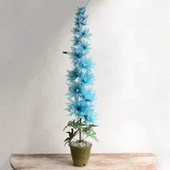 The Green Vase Potted Delphinium