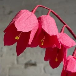The Green Vase Potted Coral Bells Plant