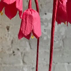 The Green Vase Potted Coral Bells Plant 8 The Green Vase Potted Coral Bells Plant