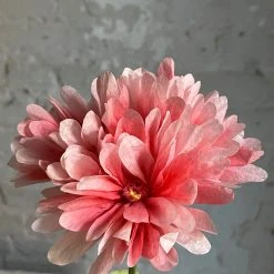 The Green Vase Potted Geranium