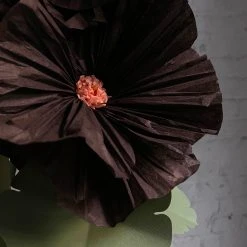 The Green Vase Potted Black Hollyhock