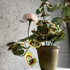 The Green Vase Potted Large Geranium