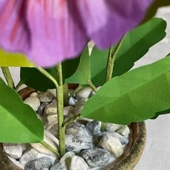 The Green Vase Potted Pansy Plant