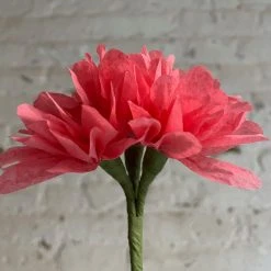 The Green Vase Potted Pink Geranium Plant