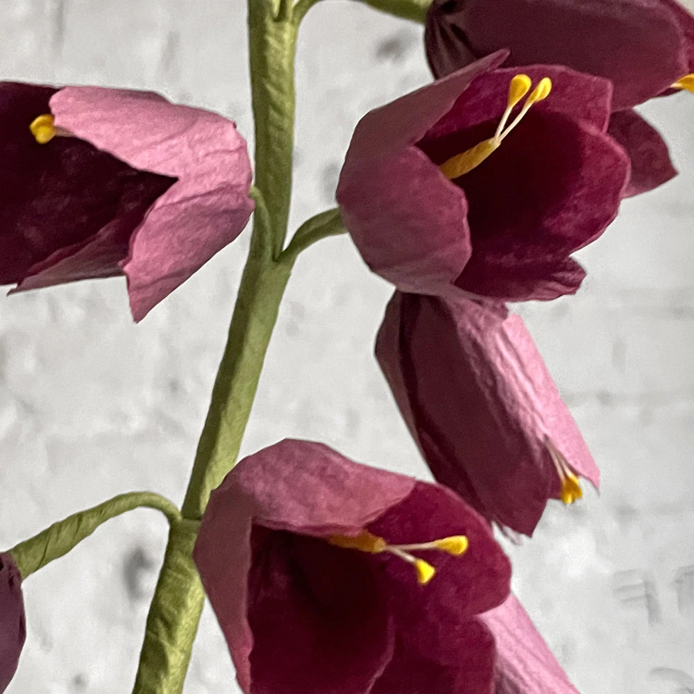 The Green Vase Potted Persian Fritillaria Plant 4 The Green Vase Potted Persian Fritillaria Plant