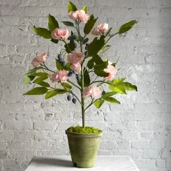 The Green Vase Potted Plum Tree