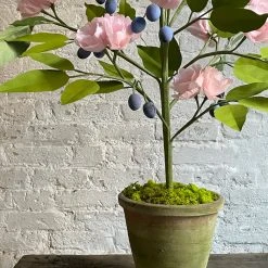The Green Vase Potted Plum Tree