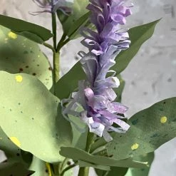 The Green Vase Potted Coleus Plant