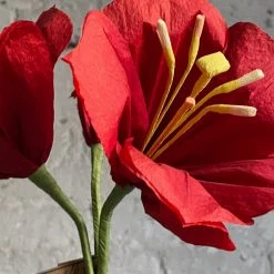 The Green Vase Potted Amaryllis Plant