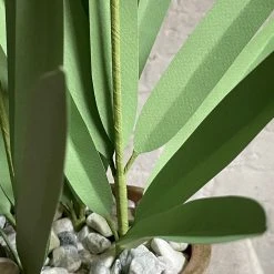 The Green Vase Potted Narcissus
