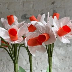 The Green Vase Potted Narcissus