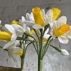 The Green Vase Potted Yellow Narcissus