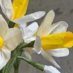 The Green Vase Potted Yellow Narcissus