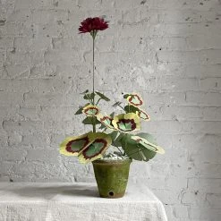 The Green Vase Potted Purple Geranium