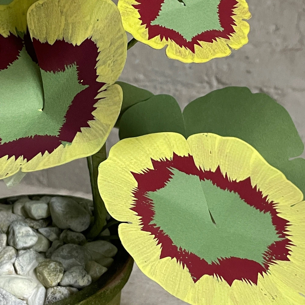 The Green Vase Potted Purple Geranium 4 The Green Vase Potted Purple Geranium