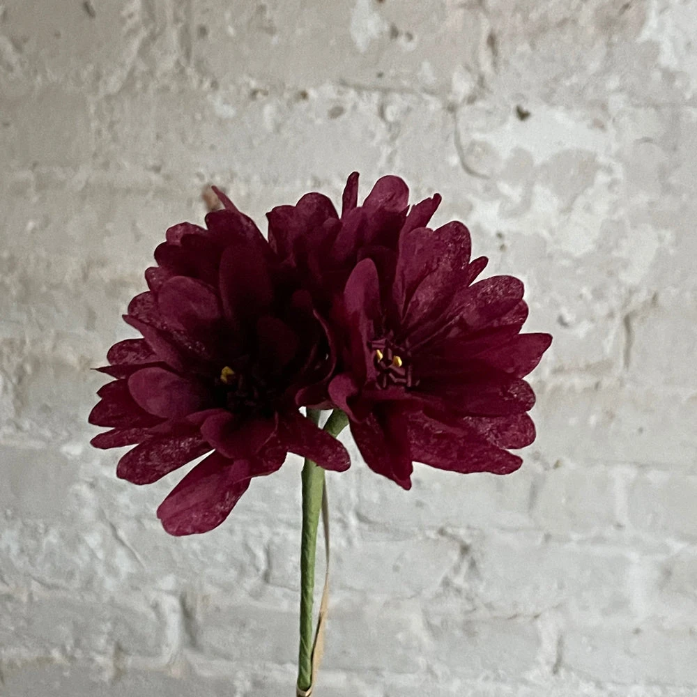 The Green Vase Potted Purple Geranium 5 The Green Vase Potted Purple Geranium