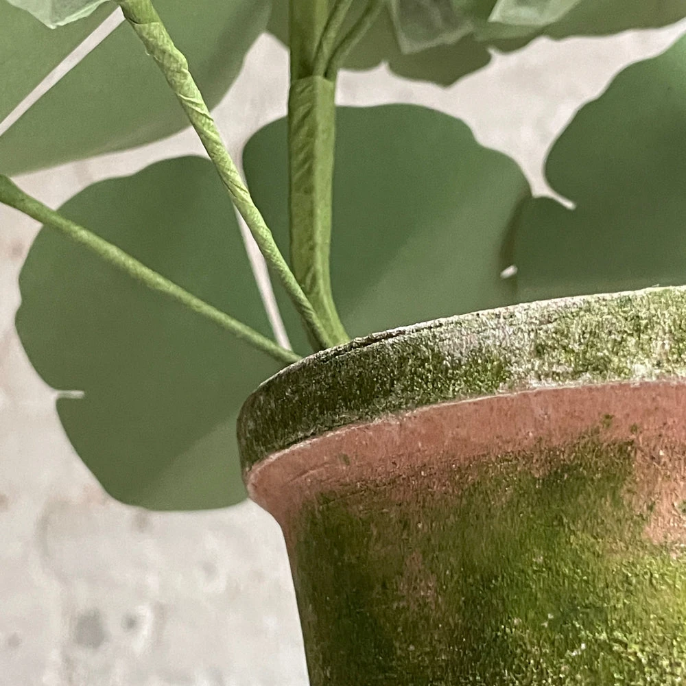 The Green Vase Potted Purple Geranium 6 The Green Vase Potted Purple Geranium