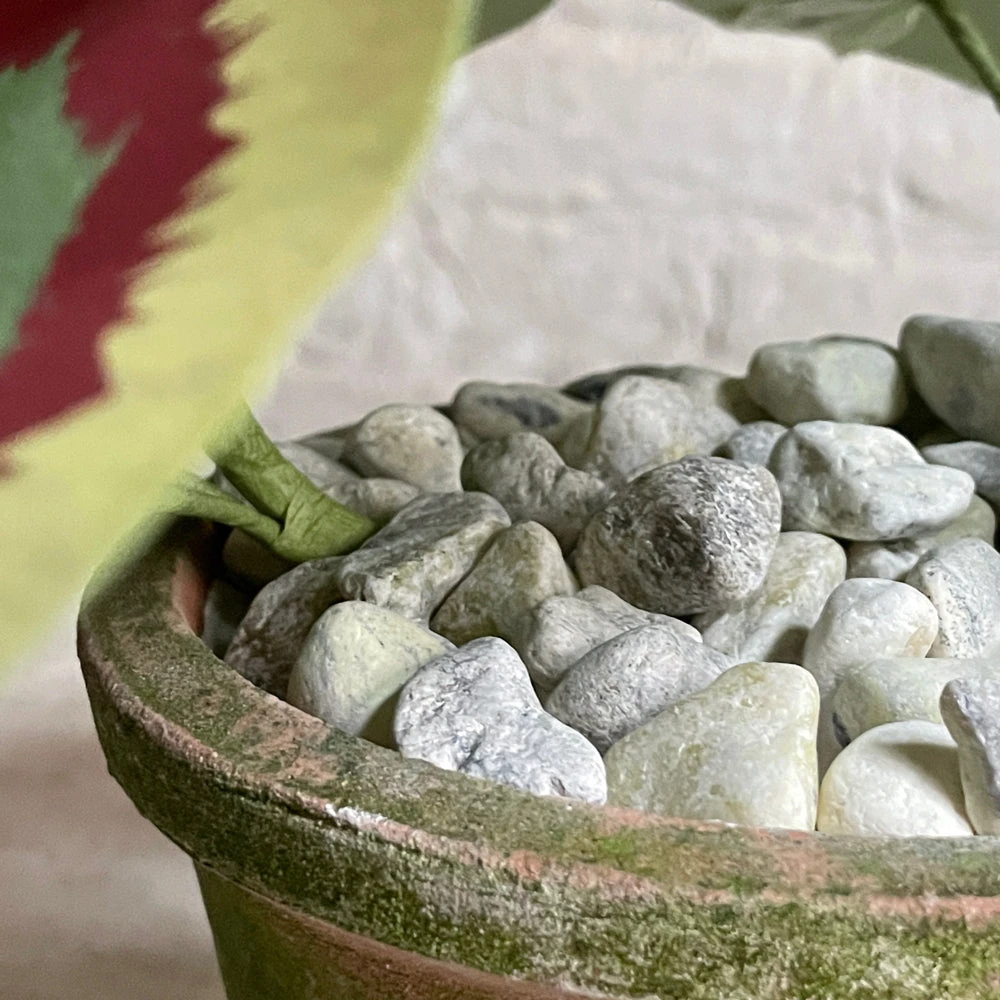 The Green Vase Potted Purple Geranium 7 The Green Vase Potted Purple Geranium