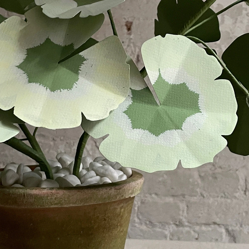 The Green Vase Potted Geranium Vase 4 The Green Vase Potted Geranium Vase