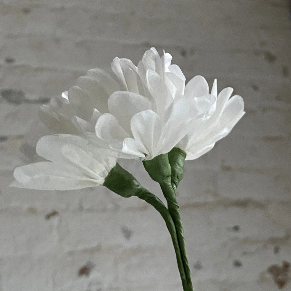 The Green Vase Potted Geranium Vase 5 The Green Vase Potted Geranium Vase