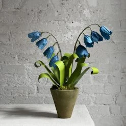 The Green Vase Potted Blue Bells Plant