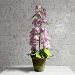 The Green Vase Potted Campanula Plant Vase