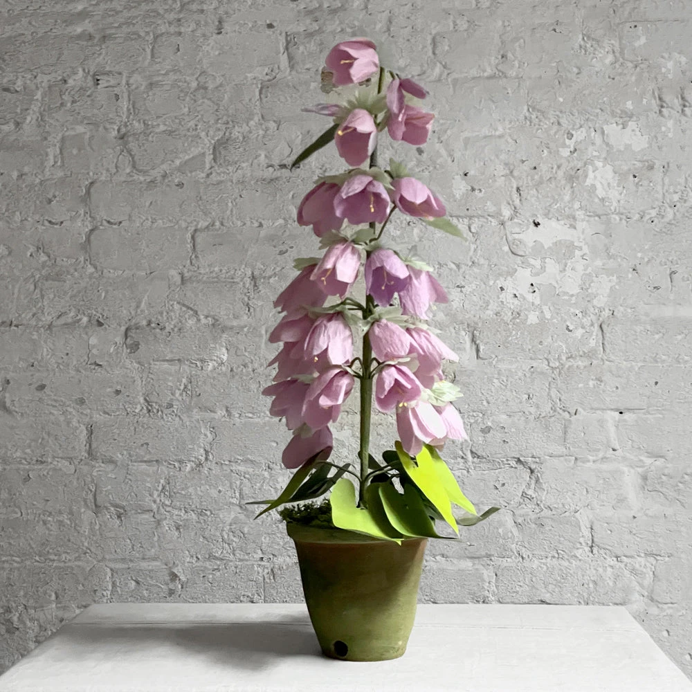 The Green Vase Potted Campanula Plant Vase 3 The Green Vase Potted Campanula Plant Vase