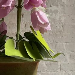 The Green Vase Potted Campanula Plant Vase