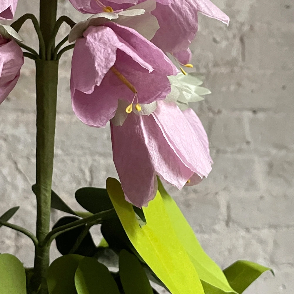 The Green Vase Potted Campanula Plant Vase 5 The Green Vase Potted Campanula Plant Vase