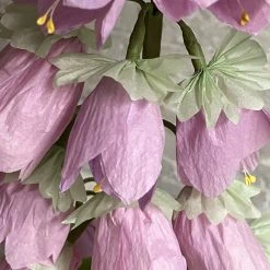 The Green Vase Potted Campanula Plant Vase 10 The Green Vase Potted Campanula Plant Vase