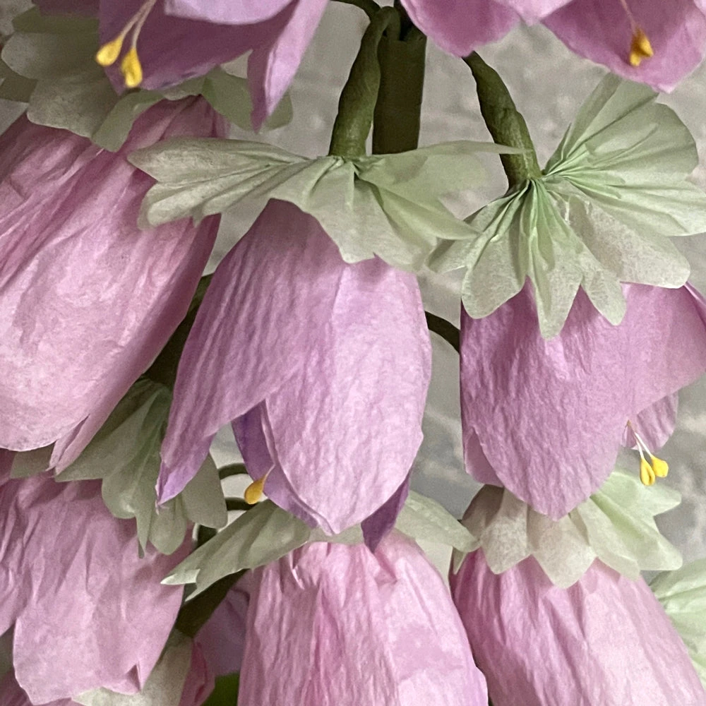 The Green Vase Potted Campanula Plant Vase 6 The Green Vase Potted Campanula Plant Vase