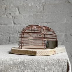 Redecker Humane Mousetrap